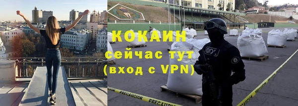 прущая мука Ельня