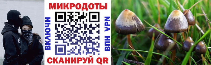 Псилоцибиновые грибы мухоморы  Бутурлиновка 